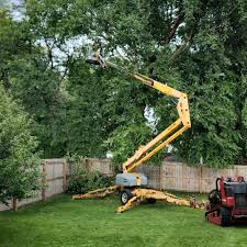 Best Utility Line Clearance  in Munsons Corners, NY