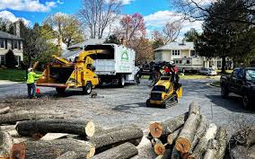 Best Grass Overseeding  in Munsons Corners, NY