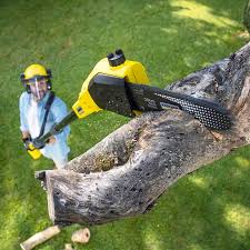 Best Lawn Watering Services  in Munsons Corners, NY