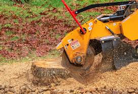 Best Arborist Consultation Services  in Munsons Corners, NY